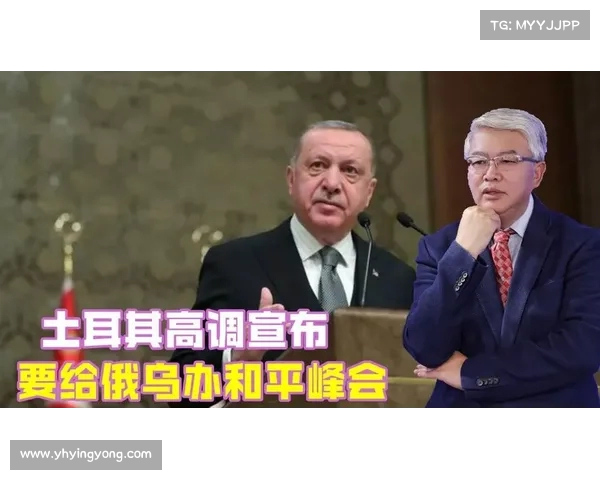 从土耳其看中介角色的重要性:俄乌和平方案的成功之道 从土耳其看中介角色的重要性:俄乌和平方案的成功之道
